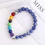 Bracelet Mémorial Pont Arc-en-Ciel – Cadeau avec 7 Perles Chakra pour la Perte d'un Animal
