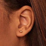 Puces d'oreilles | Or
