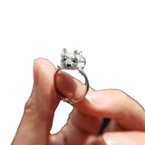 Bague Réglable de Style Rétro pour Chiens