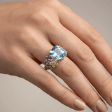 BAGUE DE FÊTE AU JARDIN