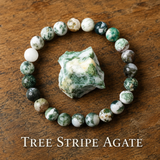 Bracelet en Agate Arbre pour Croissance, Abondance et Ancrage